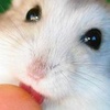 ICONATOR_c38187c2c6be9604ce39c22e44f7ee53.jpg